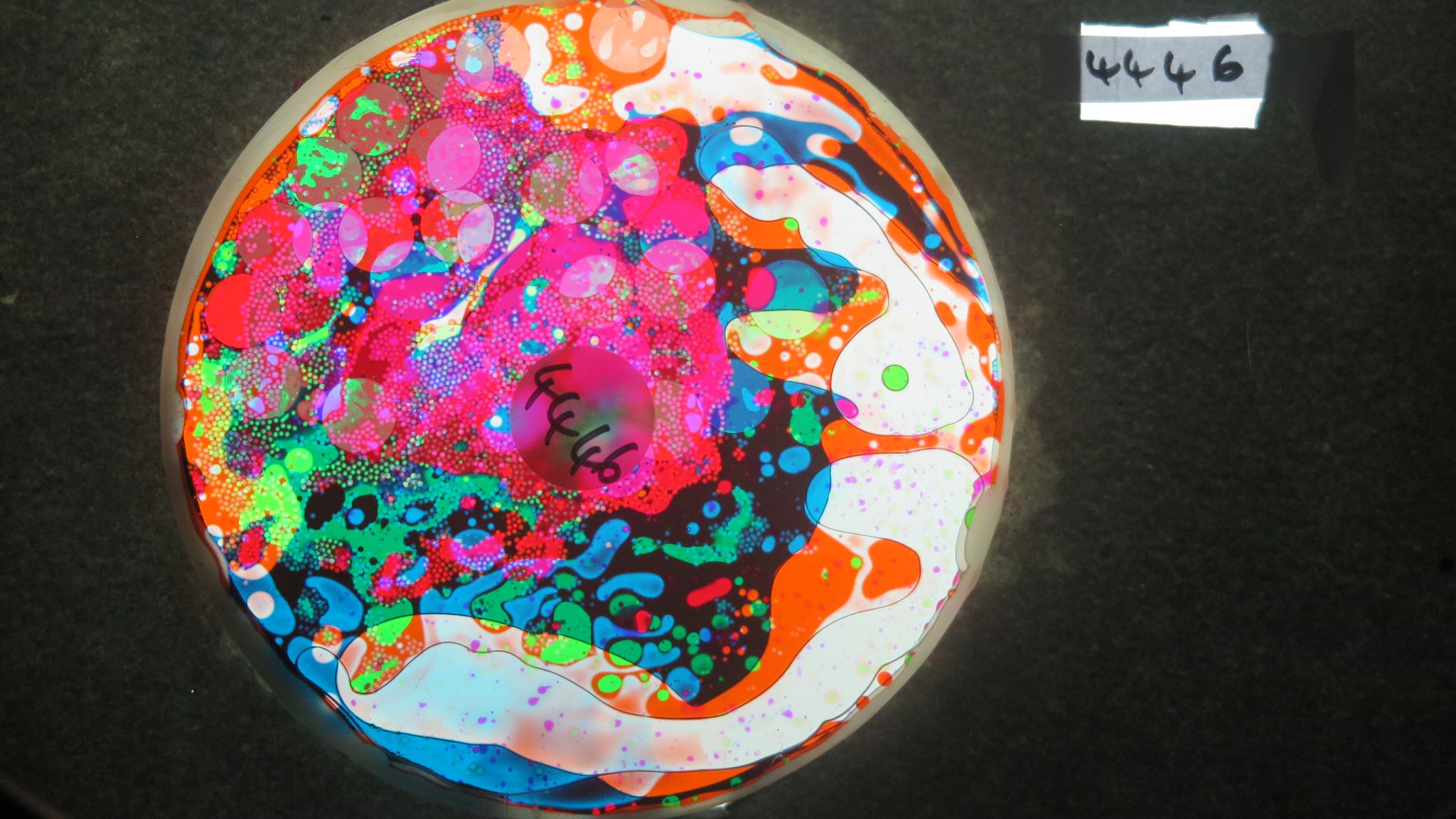 BV4446 bubble vision oil wheel